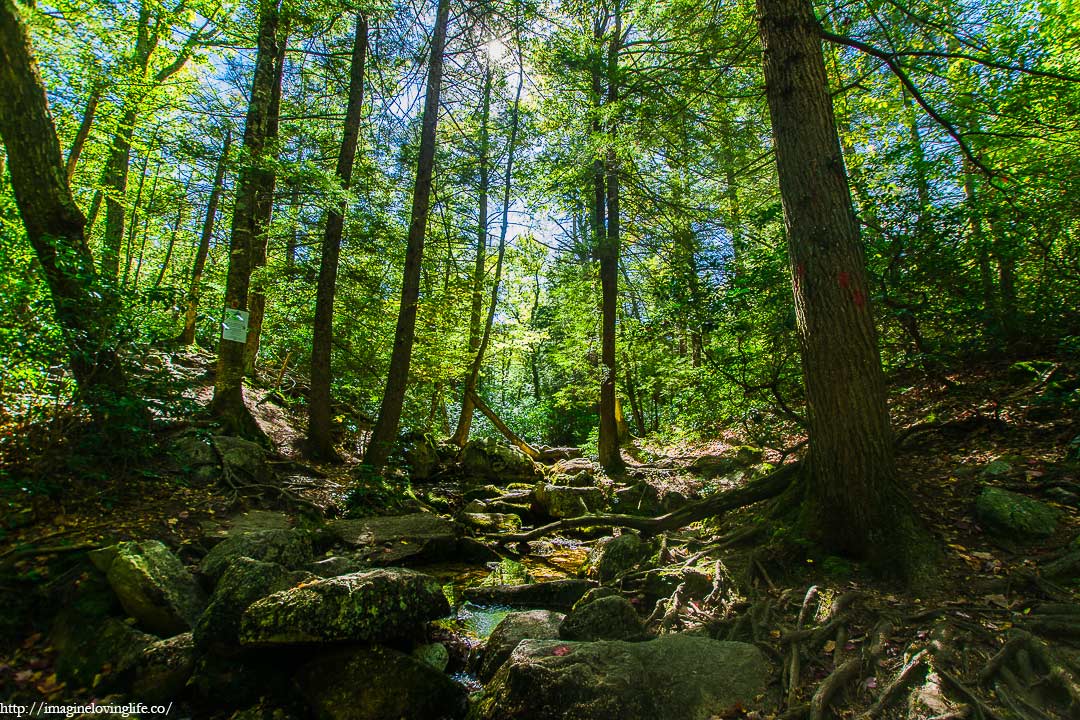 Millbrook Mountain Footpath